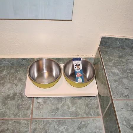 Heringsdorf, Residenz Inselliebe - Mit Hund
